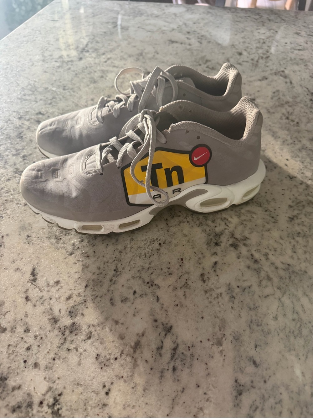 Nike Men’s air max plus TN running shoes